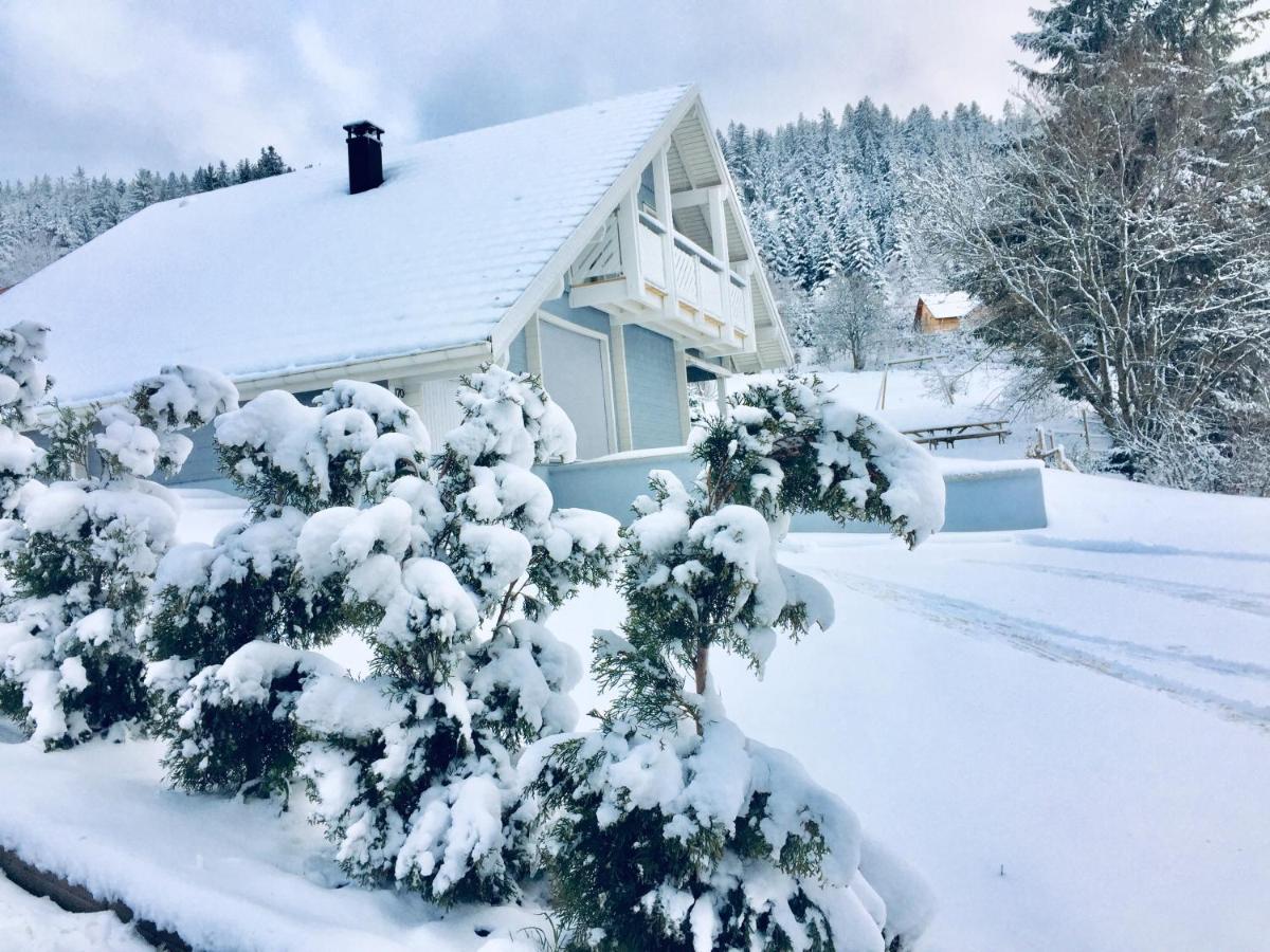 Chalet Le Flocon Bleu - Mauselaine Avec Vue Sur Le Lac De Gérardmer Exteriör bild